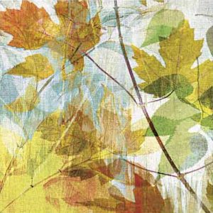 TR18418--Thicket I Left by John Butler